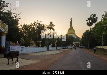 Vista della Pagoda Mahazedi a Bago, Myanmar Foto Stock