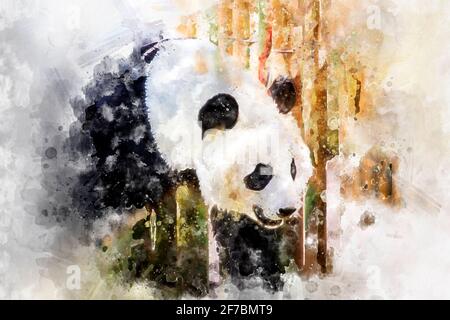 Acquerello, bellissimo allevamento di panda orso giocare in un albero Foto Stock