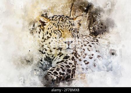 acquerello, panthera, leopardo bello e potente riposante al sole Foto Stock