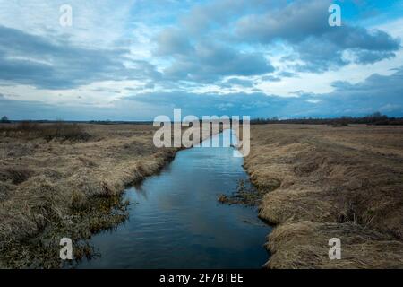 Un piccolo fiume che scorre attraverso prati asciutti ad est Polonia Foto Stock