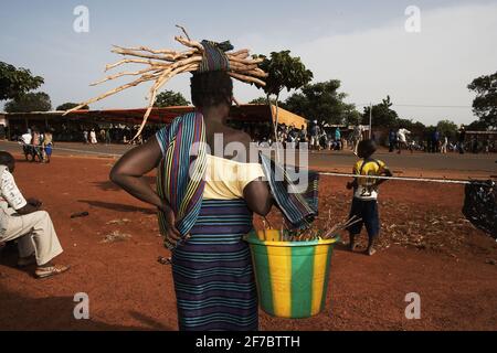 Le donne equilibrano la legna da ardere sulla loro testa in Mali, Africa occidentale. Foto Stock