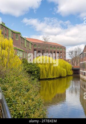 Un fiume corre lungo un parcheggio con alberi e arbusti decorando la banca. Sono tutti riflessi nell'acqua e un cielo blu è sopra. Foto Stock