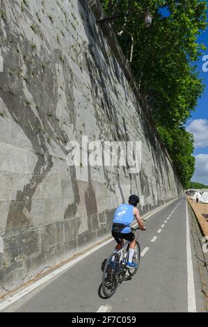 William Kentridge, bicicletta, artista, Lungotevere, fiume, Tevere, Roma, Lazio, Italia, Europa Foto Stock