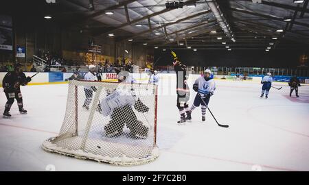 Copa de la Reina Hockey Hielo Femenino: Majadahonda 5-2 CH Txuri Urdin 04 abr 2021 El SAD Majadahonda se ha impuesto por 5-2 al Txuri Urdin en la Copa Foto Stock