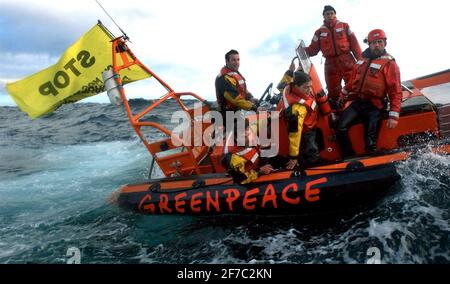 CAMPAGNA GREENPEACE NELLA MANICA CONTRO LA PESCA DEL TWIN TRAWLER PER IL BASSO DI MARE CHE STA UCCIDENDO GRANDI NUMERI DI COMONE DELFINI.23 MARZO 2005 TOM PILSTON Foto Stock