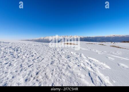 Catena montuosa di Monte Baldo e Adamello in inverno con neve, vista dall'Altopiano della Lessinia. Verona. Veneto e Trentino Alto Adige, Italia, Europa. Foto Stock