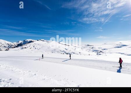 Tre sciatori di fondo sull'altopiano della Lessinia, località sciistica di Malga San Giorgio. Sullo sfondo le cime innevate del Monte Carega o delle piccole Dolomiti. Foto Stock