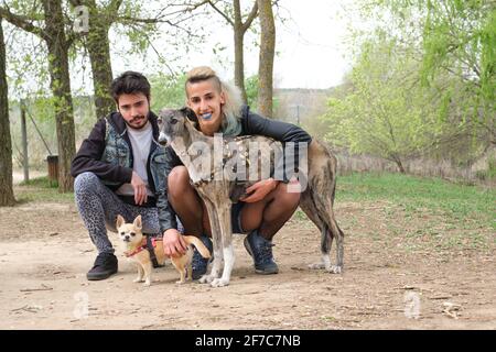 Giovane coppia punk con i suoi cani in un parco. Cani Greyhound e chihuahua. Foto Stock