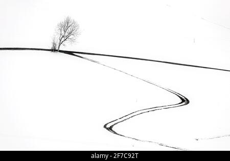 Bernbeuren, Germania. 06 Aprile 2021. Sentieri e un albero si distinguono nel paesaggio coperto di neve fresca. Credit: Karl-Josef Hildenbrand/dpa/Alamy Live News Foto Stock