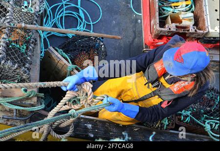 Pesca costiera dal porto di Lougshinny, Irlanda Foto Stock