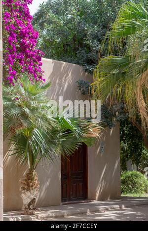 Giardino Landon a Biskra, Algeria Foto Stock