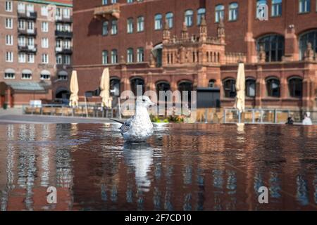 Fontana nella città svedese di Malmo in cui un piccione poggia sull'acqua. Foto Stock