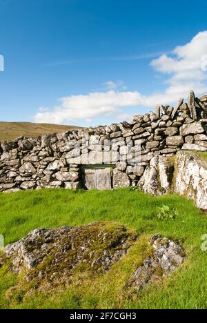 Muro di pietra arenaria con un cancello di pecore su pascolo di montagna fuori Bala nel Galles del Nord, Regno Unito Foto Stock