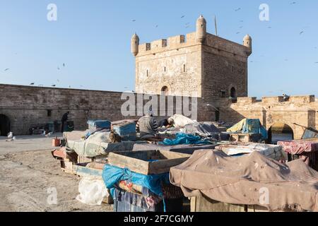 Pescatori al porto di Essaouira, Marocco Foto Stock