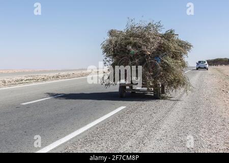 Trasporto a pieno carico lungo il tragitto attraverso il Marocco Foto Stock