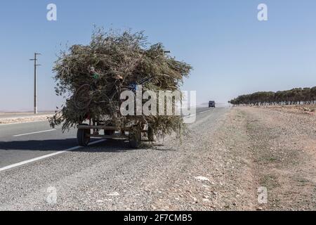 Trasporto a pieno carico lungo il tragitto attraverso il Marocco Foto Stock