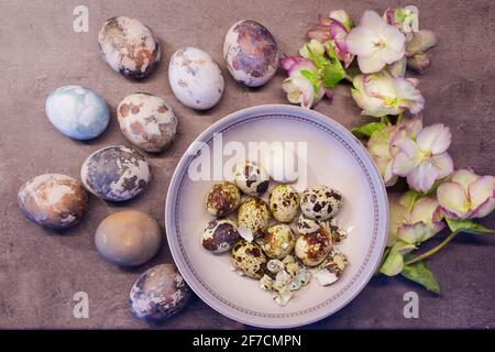 Uova di Pasqua colorate in modo naturale con pelle di cipolla e dipinte a mano con fiori freschi su fondo di cemento Foto Stock