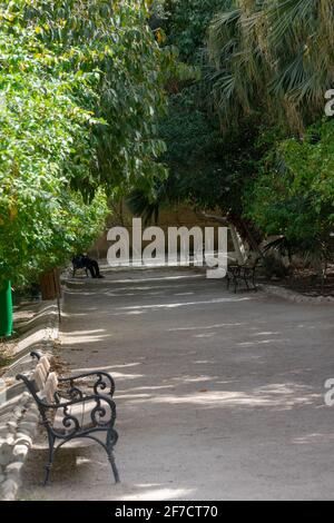 Giardino Landon a Biskra, Algeria Foto Stock