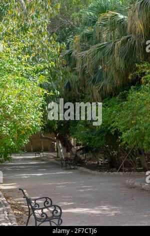 Giardino Landon a Biskra, Algeria Foto Stock