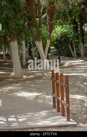 Giardino Landon a Biskra, Algeria Foto Stock