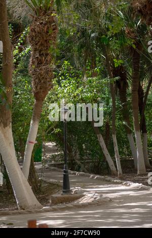 Giardino Landon a Biskra, Algeria Foto Stock