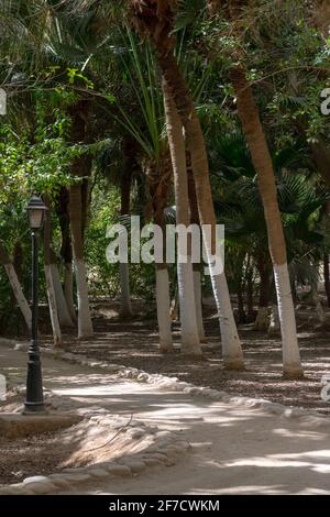 Giardino Landon a Biskra, Algeria Foto Stock