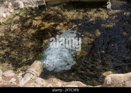 Giardino Landon a Biskra, Algeria Foto Stock