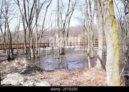 Parco ecologico Anse au Port durante un'alluvione Foto Stock