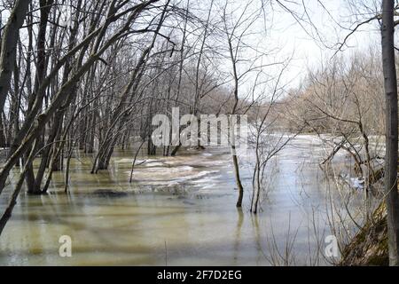 Parco ecologico Anse au Port durante un'alluvione Foto Stock