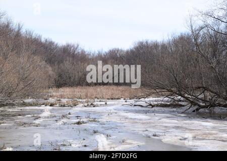 Parco ecologico Anse au Port durante un'alluvione Foto Stock