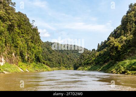 Tour sul fiume Whanganui incontaminato e attraverso la giungla circostante, Isola del Nord della Nuova Zelanda Foto Stock