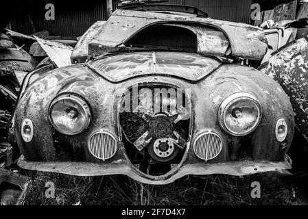 Auto d'epoca su un grande scrapyard alla fine del percorso Old Coach Road, Isola del Nord della Nuova Zelanda Foto Stock