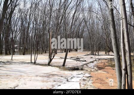 Parco ecologico Anse au Port durante un'alluvione. Situato vicino a Trois-Rivieres, Quebec Foto Stock