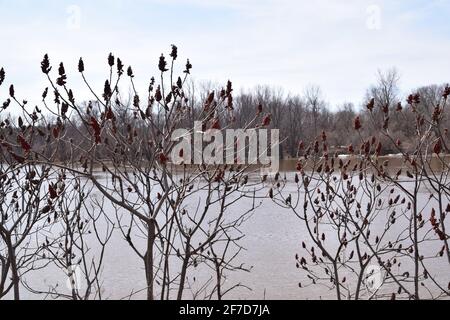 Parco ecologico Anse au Port durante un'alluvione. Situato vicino a Trois-Rivieres, Quebec Foto Stock