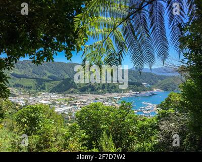 Vista panoramica al porto di Picton, Isola Sud della Nuova Zelanda Foto Stock