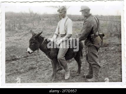 soldats nde la waffen SS sur un âne durant la campagne de Russie Foto Stock