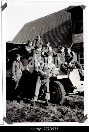 soldats de la Waffen SS sur un blindé SDKFZ Foto Stock