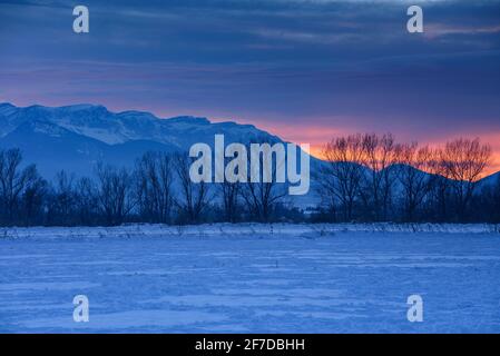 La catena montuosa di Cadí in un tramonto invernale innevato (Catalogna, Spagna, Pirenei) ESP: La Serra del Cadí, en un atardecer de invierno nevado, Cerdanya, España Foto Stock