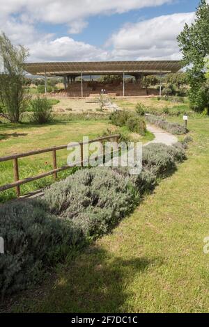 I visitatori sono vicini al sito archeologico di Cancho Roano. Zalamea de la Serena, Badajoz, Extremadura, Spagna Foto Stock