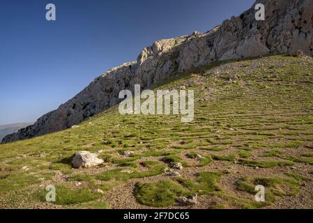 Enforcadura del Pedraforca (depressione montana tra le due cime) (provincia di Barcellona, Catalogna, Spagna, Pirenei) Foto Stock