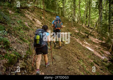 Escursioni nella Senda de los Cazadores nella valle dell'Ordesa verso Faja Pelay (Parco Nazionale di Ordesa y Monte Perdido, Aragona, Spagna, Pirenei) Foto Stock