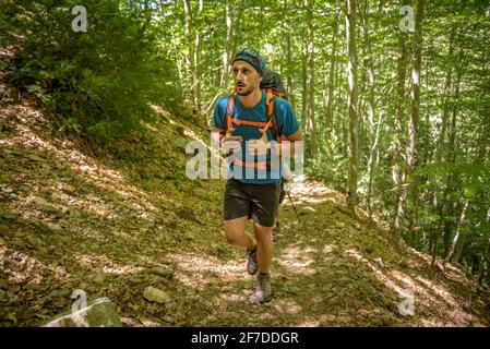 Escursioni nella Senda de los Cazadores nella valle dell'Ordesa verso Faja Pelay (Parco Nazionale di Ordesa y Monte Perdido, Aragona, Spagna, Pirenei) Foto Stock