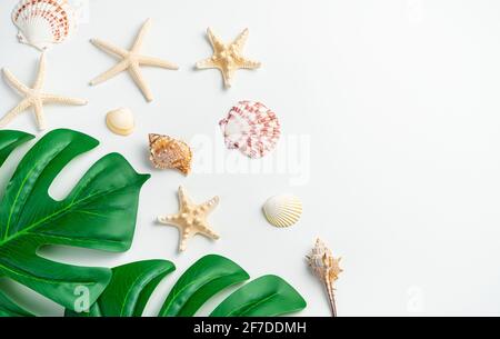 Sfondo con conchiglie, stelle marine e foglie della pianta tropicale monstera su uno sfondo chiaro. Vista dall'alto, orizzontale. Il concetto di viaggio, ricreazione Foto Stock