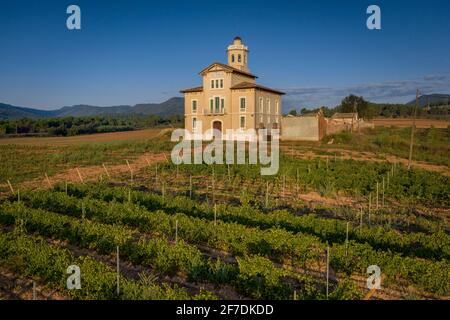 Torre Lluvià de Manresa, circondata da vigneti DEL DO Pla de Bages, in una vista aerea di un'alba estiva (provincia di Barcellona, Catalogna, Spagna) Foto Stock