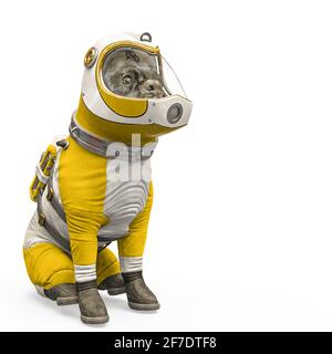 cane l'astronauta seduto con una copia spazio in sfondo bianco, illustrazione 3d Foto Stock