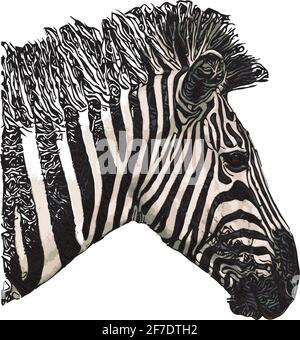 immagine vettoriale della testa zebra su sfondo bianco Illustrazione Vettoriale