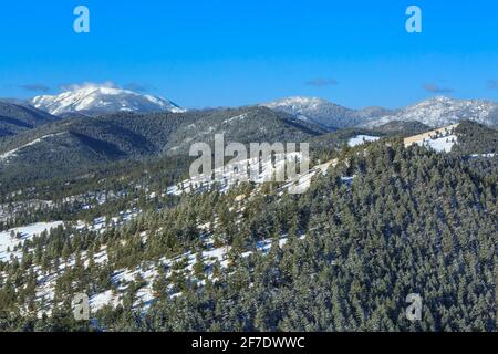 montagna rossa nella foresta nazionale di helena vista dal parco cittadino del monte helena a helena, montana Foto Stock