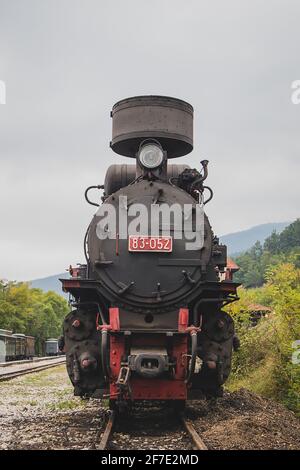 Motore a vapore della famosa ferrovia a otto scartamento ridotto di Sargan a Mokra Gora, Serbia. Foto Stock