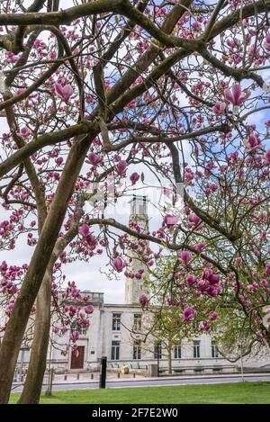 Il Civic Center Clock Tower si trova come visto da Watts Park nella primavera del 2021 a Southampton, Hampshire, Inghilterra, Regno Unito Foto Stock