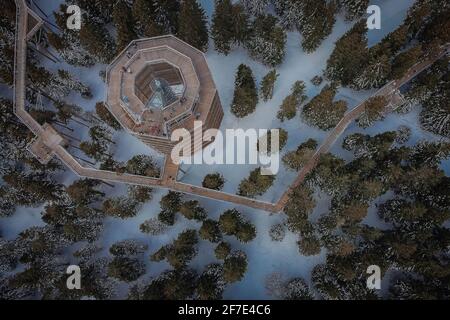 Vista aerea di una torre a baldacchino foresta e passerella, anche sentiero sopra le cime degli alberi a Rogla in una fredda giornata invernale. Bellissimo paesaggio su Rogla Foto Stock